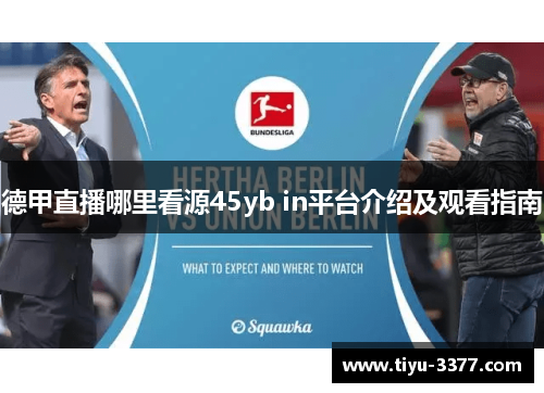 德甲直播哪里看源45yb in平台介绍及观看指南 德甲直播哪里看源45yb in平台介绍及观看指南