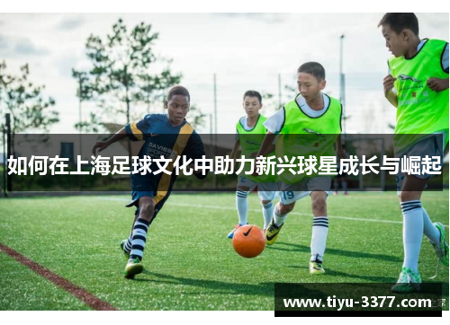 如何在上海足球文化中助力新兴球星成长与崛起