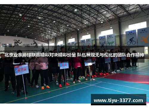北京业余排球联赛精彩对决精彩纷呈 队伍展现无与伦比的团队合作精神