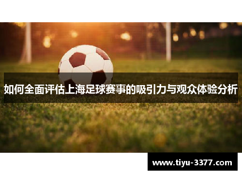 如何全面评估上海足球赛事的吸引力与观众体验分析 如何全面评估上海足球赛事的吸引力与观众体验分析