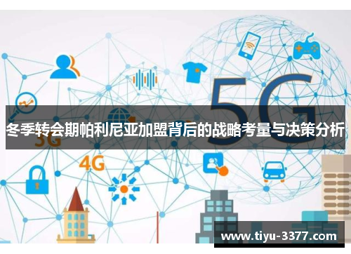 冬季转会期帕利尼亚加盟背后的战略考量与决策分析 冬季转会期帕利尼亚加盟背后的战略考量与决策分析