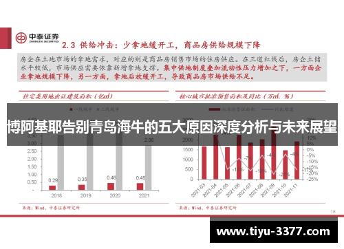 博阿基耶告别青岛海牛的五大原因深度分析与未来展望