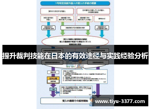 提升裁判技能在日本的有效途径与实践经验分析 提升裁判技能在日本的有效途径与实践经验分析