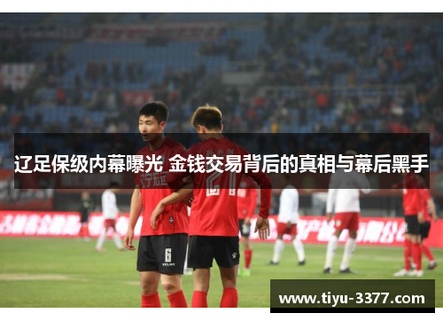 辽足保级内幕曝光 金钱交易背后的真相与幕后黑手 辽足保级内幕曝光 金钱交易背后的真相与幕后黑手