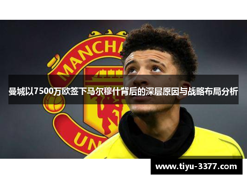 曼城以7500万欧签下马尔穆什背后的深层原因与战略布局分析 曼城以7500万欧签下马尔穆什背后的深层原因与战略布局分析