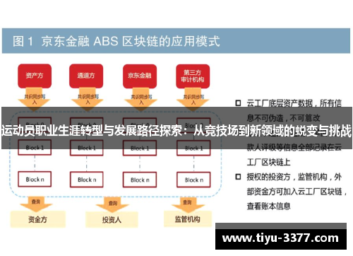运动员职业生涯转型与发展路径探索:从竞技场到新领域的蜕变与挑战 运动员职业生涯转型与发展路径探索:从竞技场到新领域的蜕变与挑战