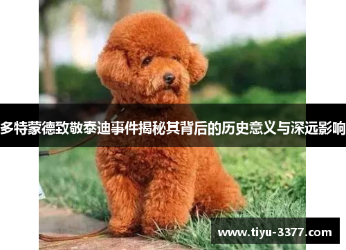 多特蒙德致敬泰迪事件揭秘其背后的历史意义与深远影响 多特蒙德致敬泰迪事件揭秘其背后的历史意义与深远影响