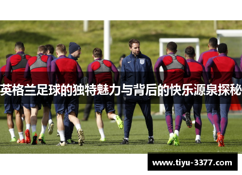 英格兰足球的独特魅力与背后的快乐源泉探秘