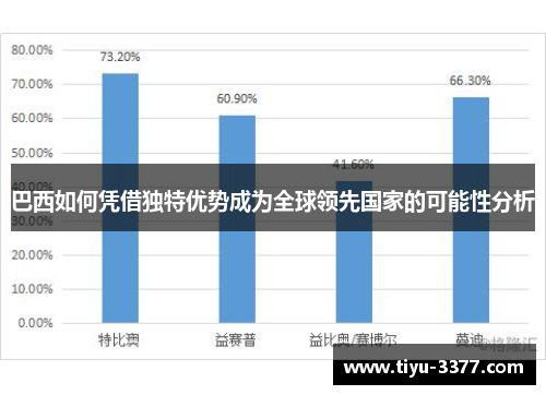 巴西如何凭借独特优势成为全球领先国家的可能性分析 巴西如何凭借独特优势成为全球领先国家的可能性分析