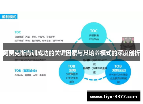 阿贾克斯青训成功的关键因素与其培养模式的深度剖析