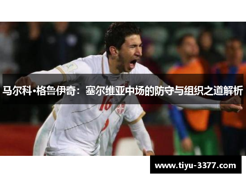 马尔科·格鲁伊奇：塞尔维亚中场的防守与组织之道解析