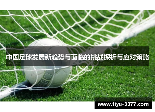 中国足球发展新趋势与面临的挑战探析与应对策略