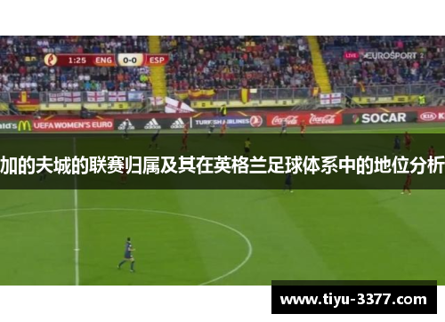 加的夫城的联赛归属及其在英格兰足球体系中的地位分析 加的夫城的联赛归属及其在英格兰足球体系中的地位分析