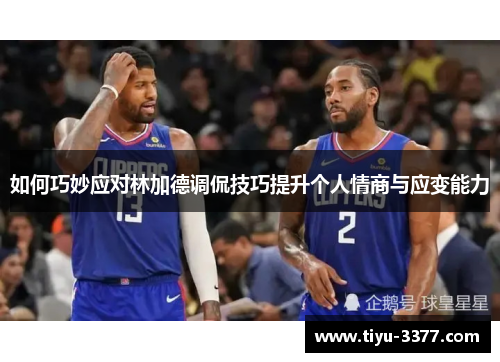 如何巧妙应对林加德调侃技巧提升个人情商与应变能力 如何巧妙应对林加德调侃技巧提升个人情商与应变能力