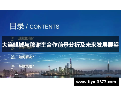 大连鲲城与穆谢奎合作前景分析及未来发展展望 大连鲲城与穆谢奎合作前景分析及未来发展展望
