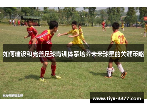 如何建设和完善足球青训体系培养未来球星的关键策略 如何建设和完善足球青训体系培养未来球星的关键策略