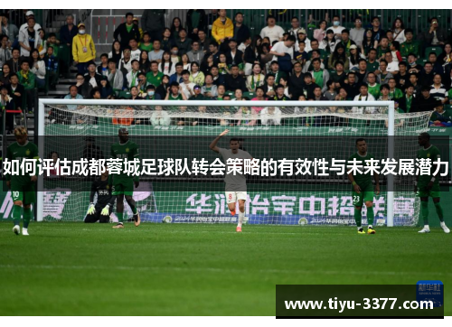 如何评估成都蓉城足球队转会策略的有效性与未来发展潜力
