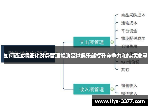 如何通过精细化财务管理帮助足球俱乐部提升竞争力和持续发展