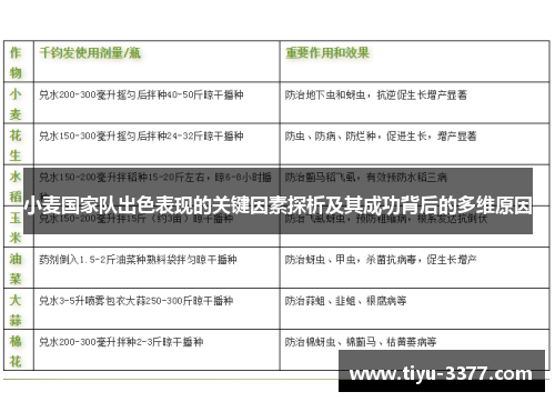 小麦国家队出色表现的关键因素探析及其成功背后的多维原因