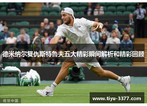 德米纳尔复仇斯特鲁夫五大精彩瞬间解析和精彩回顾 德米纳尔复仇斯特鲁夫五大精彩瞬间解析和精彩回顾